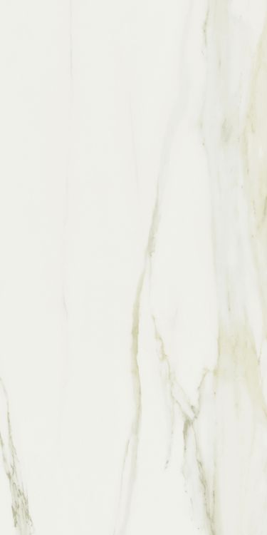 Classici Calacatta Gold Glossy 24 x 48